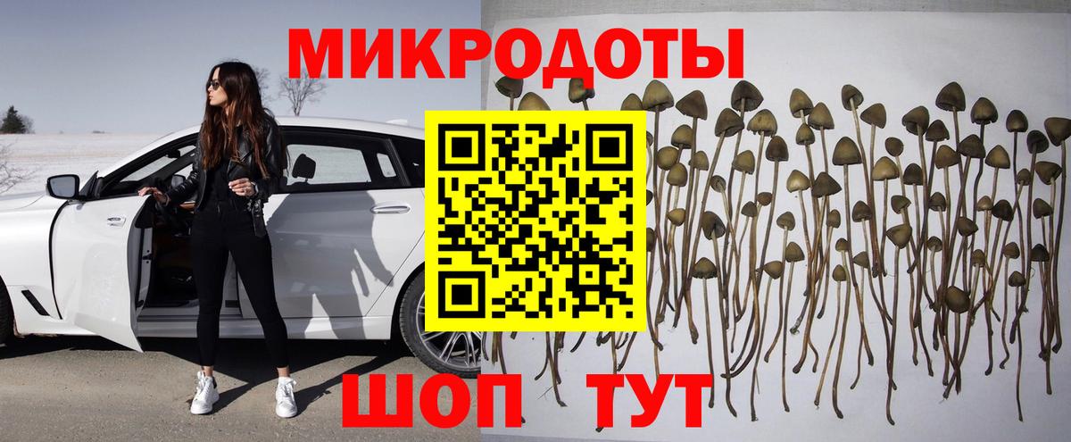 Галлюциногенные грибы Cubensis  Вход с VPN  как найти закладки  Галлюциногенные грибы прущие грибы  Ишим 