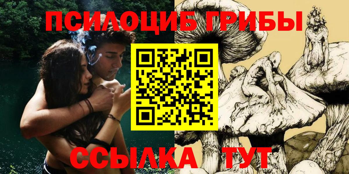 Галлюциногенные грибы Psilocybine cubensis Ишим